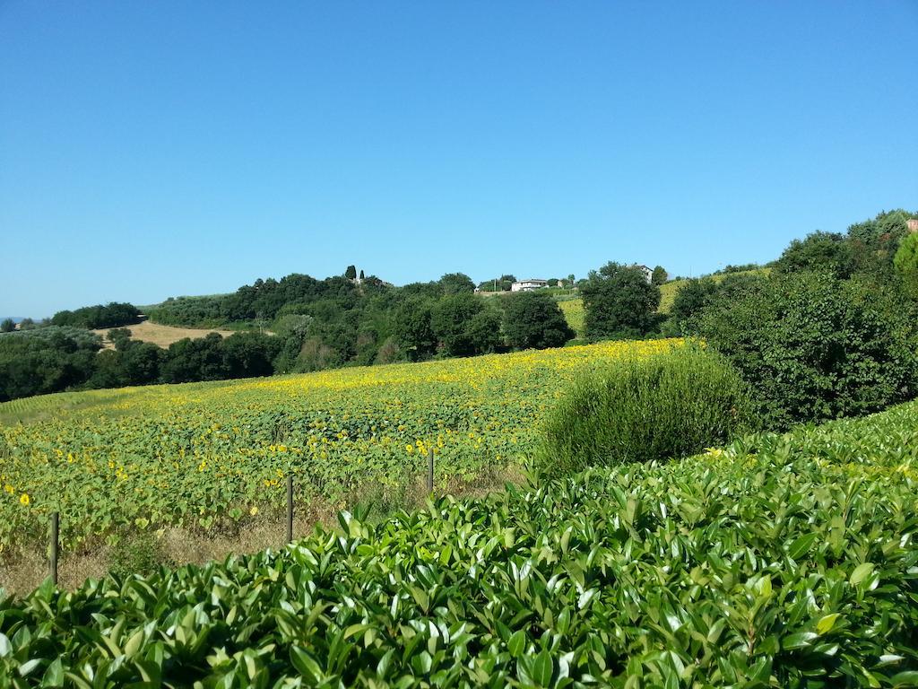 Alojamento de Turismo Rural Il Borghetto